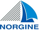 Norgine Logo