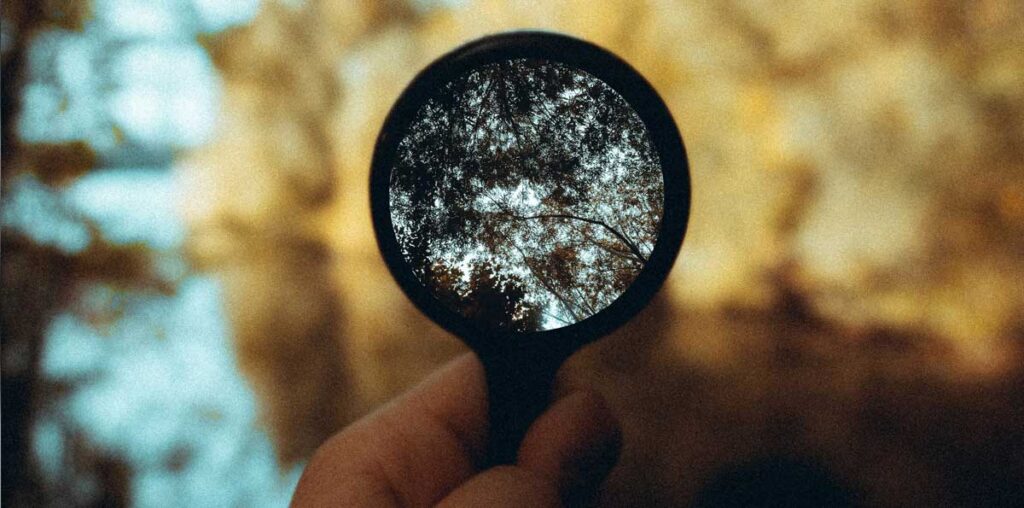 Person holding a magnifying glass in a forest with the focus of the image showing the branches through the glass in focus