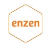 Enzen Logo