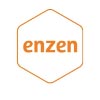 Enzen Logo